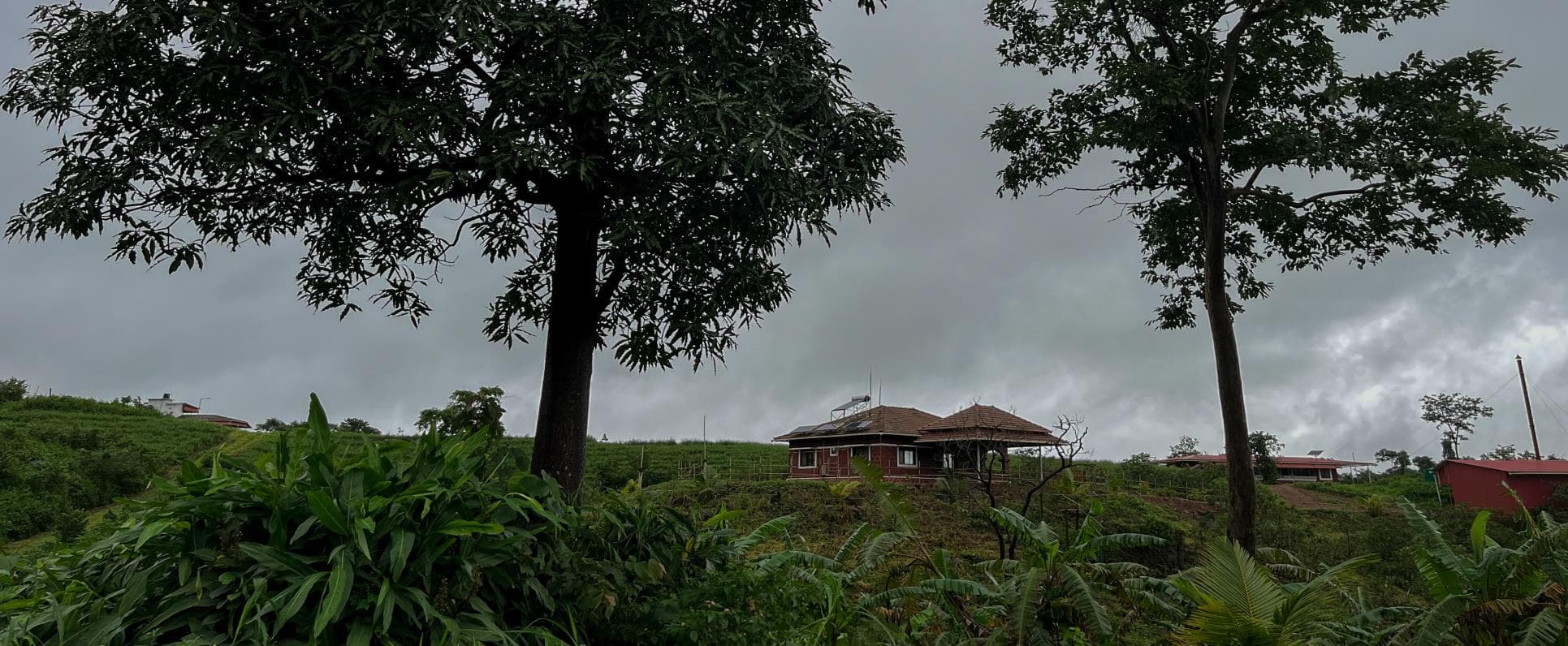 Lush green landscapes of Gharpi village